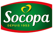 Socopa